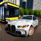 Driving School Simulator EVO Logo